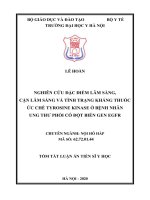 Nghiên cứu đặc điểm lâm sàng và đánh giá kết quả phẫu thuật tạo hình dị tật tai nhỏ theo kỹ thuật brent tt 