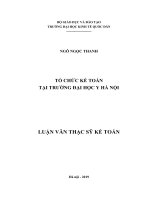 Luận văn thạc sỹ Tổ chức kế toán tại Trường Đại học Y Hà Nội