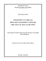 Ảnh hưởng của tỷ lệ phụ gia đông kết nhanh đến cường độ chịu nén lâu dài của bê tông