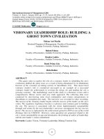 Visionary leadership role: building a ghost town civilization