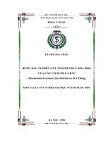 Bước đầu nghiên cứu thành phần hóa học của cây Cỏ rươi lá bắc (Murdannia bracteata J.K.Morton ex D.Y.Hong)