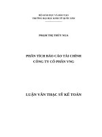 Luận văn thạc sỹ -Phân tích Báo cáo tài chính Công ty Cổ phần VNG