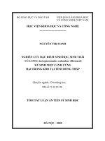 Nghiên cứu đặc điểm sinh học, sinh thái của ong anisopteromalus calandrae (howard) ký sinh mọt cánh cứng hại trong kho tại tỉnh đồng tháp tt 