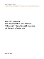 BÁO CÁO TỔNG HỢP QUY HOẠCH QUẢN LÝ CHẤT THẢI RẮN TRÊN ĐỊA BÀN TỈNH LÀO CAI ĐẾN NĂM 2020 VÀ TẦM NHÌN ĐẾN NĂM 2030