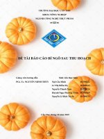 Bí ngô sau thu hoạch