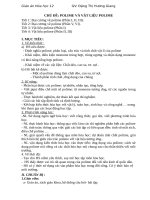 Giáo án phát triển năng lực Chủ đề đại cương polime