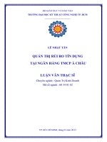 Luận văn thạc sĩ: Quản Trị Rủi Ro Tín Dụng Tại Ngân Hàng TMCP Á Châu​