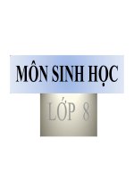 MÔN SINH HỌC LỚP Chương VII: BÀI TIẾT Tiết 40: BÀI TIẾT VÀ CẤU TẠO HỆ BÀI TIẾT NƯỚC TIỂU I BÀI TIẾT II CẤU TẠO CỦA HỆ BÀI TIẾT NƯỚC TIỂU