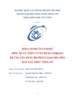 [CS406.K11] - NỘP ĐỒ ÁN CUỐI KỲ