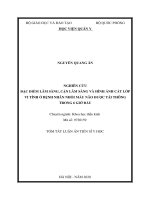 Nghiên cứu đặc điểm lâm sàng, cận lâm sàng và hình ảnh cắt lớp vi tính ở bệnh nhân nhồi máu não được tái thông trong 6 giờ đầu (tt) 