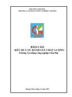 BÁO CÁO KẾT QUẢ TỰ ĐÁNH GIÁ CHẤT LƢỢNG Trƣờng Cao đẳng Công nghiệp Cẩm Phả