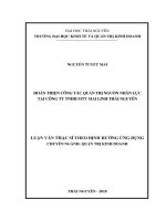 Luận văn thạc sĩ: Hoàn Thiện Công Tác Quản Trị Nguồn Nhân Lực Tại Công Ty TNHH MTV Mai Linh Thái Nguyên