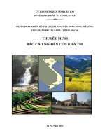 DỰ ÁN PHÁT TRIỂN ĐÔ THỊ HÀNH LANG TIỂU VÙNG SÔNG MÊKÔNG TIỂU DỰ ÁN ĐÔ THỊ SA PA - TỈNH LÀO CAI