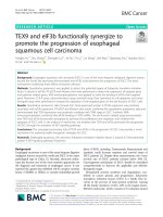 TEX9 and eIF3b functionally synergize to promote the progression of esophageal squamous cell carcinoma