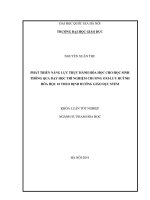 PHÁT TRIỂN NĂNG LỰC THỰC HÀNH HÓA HỌC CHO HỌC SINH THÔNG QUA DẠY HỌC THÍ NGHIỆM CHƯƠNG OXILƯU HUỲNH HÓA HỌC 10 THEO ĐỊNH HƯỚNG GIÁO DỤC STEM