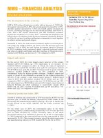 MWG – Financial analysis macro analysis