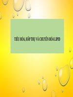 TIÊU HÓA, HẤP THỤ VÀ CHUYỂN HÓA LIPID