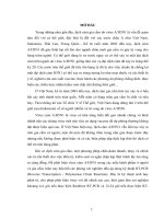 kỹ thuật Multiplex Reverse Transcription Polymerase Chain Reaction để nghiên cứu quy trình phát hiện virus H5N1