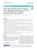 Parkin gene mutations are not common, but its epigenetic inactivation is a frequent event and predicts poor survival in advanced breast cancer patients