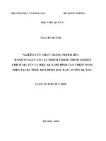 Luận án Tiến sĩ y học: Nghiên cứu thực trạng nhiễm HIV, hành vi nguy cơ lây nhiễm HIV trong nhóm nghiện chích ma túy và hiệu quả mô hình can thiệp toàn diện tại 3 tỉnh: Hòa Bình, Bắc Kạn, Tuyên Quang
