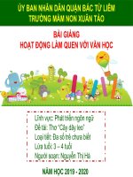 slide bài giảng thơ cây dây leo 