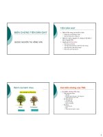 TiỀN SẢN GiẬT BIẾN CHỨNG TIỀN SẢN GIẬT BSCKII NGUYỄN THỊ HỒNG VÂN