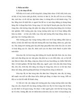 SKKN một số biện pháp chỉ đạo giáo viên xây dựng môi trường giáo dục lấy trẻ làm trung tâm tại trường mầm non hoa huệ   phường đạt hiếu   thị xã buôn hồ 