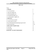 SKKN lồng ghép trò chơi trong các tiết dạy tiếng anh nhằm gây hứng thú cho học sinh khối 6,7,8 ở trường THCS nâm nung 