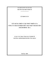 Luận văn thạc sĩ: Xây Dựng Chiến Lược Phát Triển Của Công Ty Trách Nhiệm Hữu Hạn Một Thành Viên Thanh Bình  Bca​
