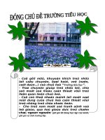 ĐÓNG CHỦ ĐỀ trường tiểu học