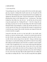 SKKN một số biện pháptổ chức môi trường đọc thân thiện tại trường tiểu học y  nuê 