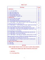 SKKN một số biện pháp nâng cao chất lượng hoạt động chơi ngoài trời cho trẻ ở trường mầm non 