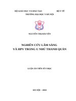 Luận án Tiến sĩ Y học: Nghiên cứu lâm sàng và HPV trong U nhú thanh quản.