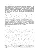 SKKN rèn kỹ năng đổi đơn vị đo đại lượng cho học sinh DTTS lớp 5a1 trường tiểu học lê lợi 