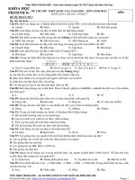 Đề dự đoán số 5   khóa học prosinh 8+ (đáp án chi tiết) 