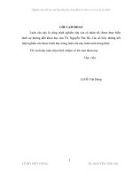 Nghiên cứu chế tạo vật liệu hấp thụ sóng điện từ trên cơ sở cao su tự nhiên