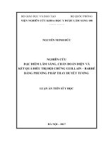Luận án Tiến sĩ y học: Nghiên cứu đặc điểm lâm sàng, chẩn đoán điện và kết quả điều trị hội chứng Guillain – Barré bằng phương pháp thay huyết tương