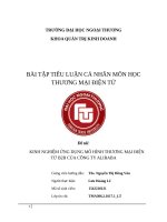 KINH NGHIỆM ỨNG DỤNG mô HÌNH THƯƠNG mại điện tử b2b của CÔNG TY ALIBABA 