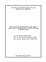SKKN một số giải  pháp triển khai thực hiện phong trào “nuôi heo đất ” trong liên đội ở  trường THCS 