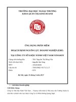 HOẠCH ĐỊNH NGUỒN lực DOANH NGHIỆP (ERP) tại CÔNG TY sữa đậu NÀNH VIỆT NAM VINASOY 