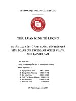 tiểu luận kinh tế lượng các yếu tố ảnh hưởng đến hiệu quả hoạt động của doanh nghiệp vừa và nhỏ tại việt nam 