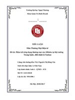 Phân tích ứng dụng thương mại của alibaba tại thị trường trung quốc, điển hình là taobao 