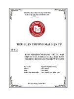 KINH NGHIỆM ỨNG DỤNG THƯƠNG mại điện tử của TAOBAO và bài học KINH NGHIỆM CHO DOANH NGHIỆP VIỆT NAM họ 