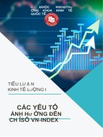 tiểu luận kinh tế lượng NGHIÊN cứu các yếu tố ẢNH HƯỞNG đến CHỈ số VN – INDEX 