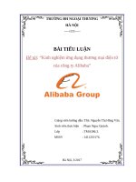 Kinh nghiệm ứng dụng thương mại điện tử của công ty alibaba 