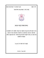 Luận án tiến sĩ Y học: Nghiên cứu điều trị tắc động mạch lớn hệ tuần hoàn não trước trong vòng 6 giờ đầu bằng thuốc tiêu sợi huyết tĩnh mạch kết hợp với lấy huyết khối cơ học