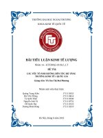 tiểu luận kinh tế lượng các nhân tố ảnh hưởng đến tốc độ tăng trưởng kinh tế của một quốc gia 