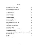 tiểu luận kinh tế lượng thu nhập bình quân đầu người, tổng tỷ suất sinh và cuối cùng là số dự án có vốn đầu tư nước ngoài 