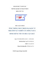 TÍNH “THỐNG NHẤT TRONG ĐA DẠNG” Ở MỌI LĨNH VỰC NGHIÊN CỨU ĐÔNG NAM Á MINH CHỨNG VỚI VĂN HÓA VẬT CHẤT