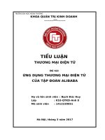 ỨNG DỤNG THƯƠNG mại điện tử của tập đoàn ALIBABA 
